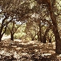 Tapia Park @ Malibu Creek State Park (SP)