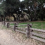 Topanga State Park (SP)