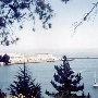 Treasure Island - BRAC