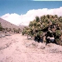 Walker Pass  - Ridgecrest Resource Area - Bureau of Land Management (BLM)