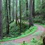 Prairie Creek Redwoods State Park (SP) within the Redwood National and State Parks