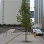 Grand Ave. corner of 5th and Grand