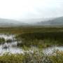 Big Lagoon County Park