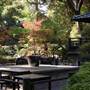 Descanso Gardens