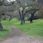 Ventura Farms