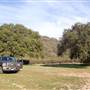 Ventura Farms