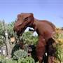California Nursery Specialties - Cactus Ranch