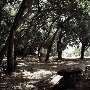 Windermere Ranch