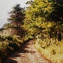 Briceland Road