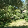 Blue Rock Vineyard