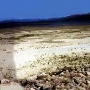 Regan Beach