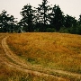 Elk River Road - Reardon Ranch