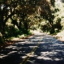 Huasna Road