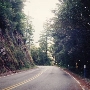 Salmon River Road