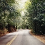 Highway 236 - Felton