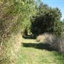 Colusa National Wildlife Refuge