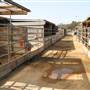 Equestrian Center & Red Horse Barn @ Huntington Beach Central Park