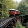 Skunk Train - California Western Railroad
