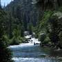 Grizzly Falls
