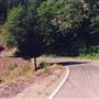 Old McCloud Rd.