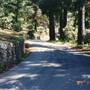 Spindrift Road - Carmel Highlands