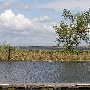 Franks Tract State Recreation Area (SRA)