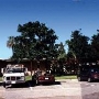 Buena Park City Hall