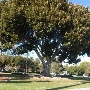 Beverly Gardens Park