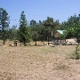 Siderman Family Camp and Conference Center /  Camp Gan Israel West / fka Putney Ranch