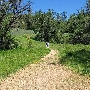 South Yuba River State Park (SP)