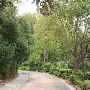 Mayfield Senior School