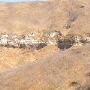 Chino Hills State Park (SP)