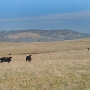Western Placer County Roads