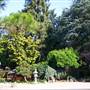 Japanese Tea Garden - San Mateo Central Park & Recreation Center