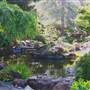 Japanese Tea Garden - San Mateo Central Park & Recreation Center