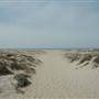 McGrath State Beach (SB)