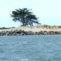 Arcata Bay