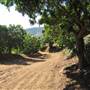 Rancho del Cielo Malibu aka Island Malibu