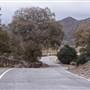 Pyramid Lake