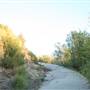 Laurel Canyon 360 View Hillside Land