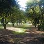 California State University, Northridge - CSUN (All Buildings & Facilities)