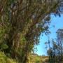 San Bruno Mountain State Park (SP)