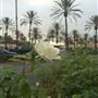 Ocean View Plaza - Brixmor Property Group
