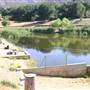Bogart Regional Park