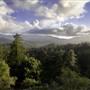 Big Basin Redwoods State Park (SP)