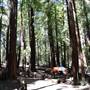 Butano State Park (SP)