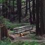 Butano State Park (SP)