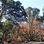 Clear Lake State Park (SP)