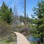 Donner Memorial State Park (SP)  / Donner Lake