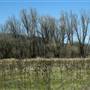 Anderson Marsh State Historic Park (SHP)